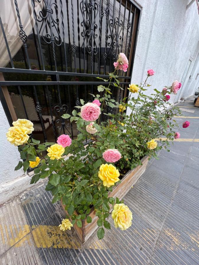 Salamanca Hotel San Enrique מראה חיצוני תמונה